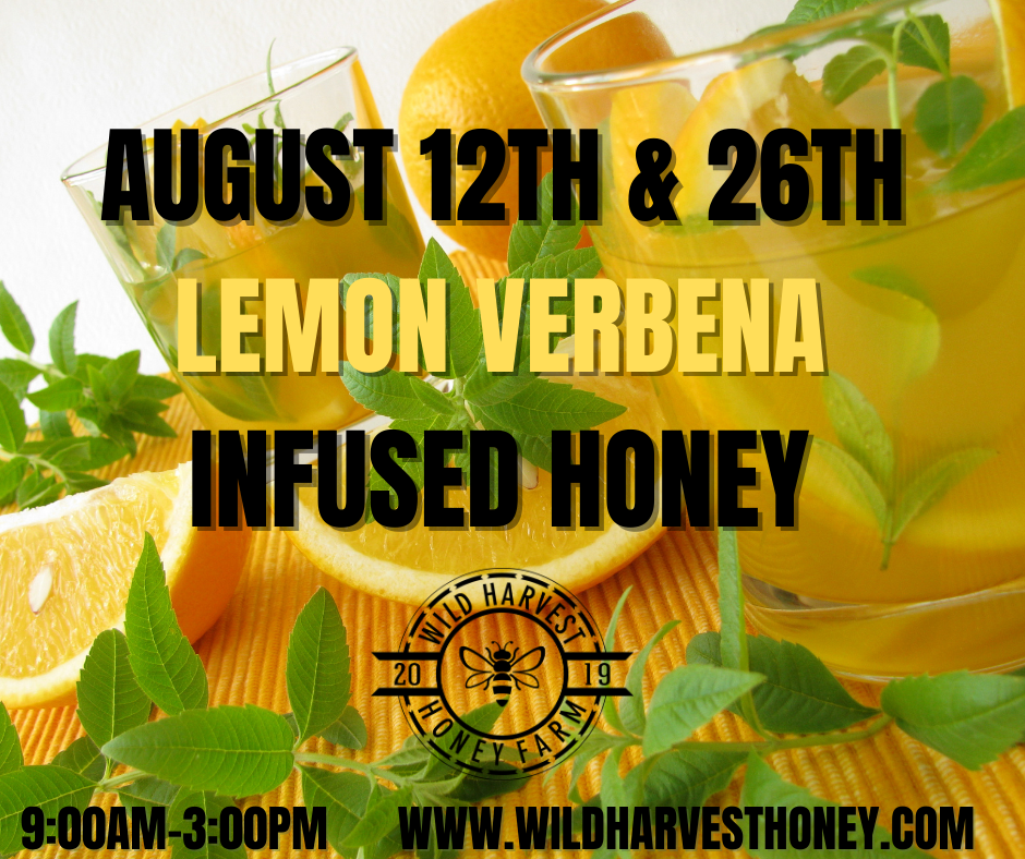 New, Lemon Verbena  Infused Honey. Free pairing & sampleing.