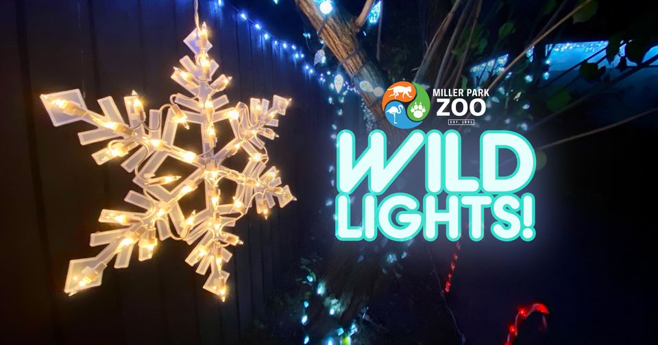 Wild Lights at the Zoo!