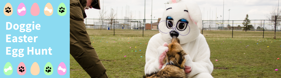 Doggie Easter Egg Hunt