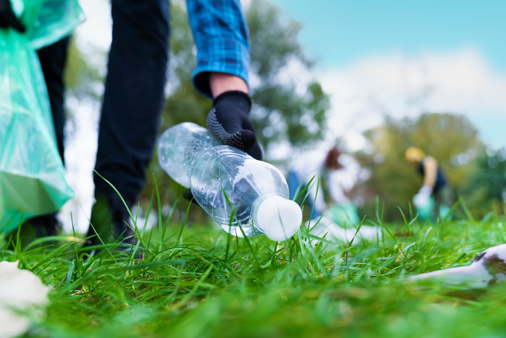 A Green Day at Sunnyside Park