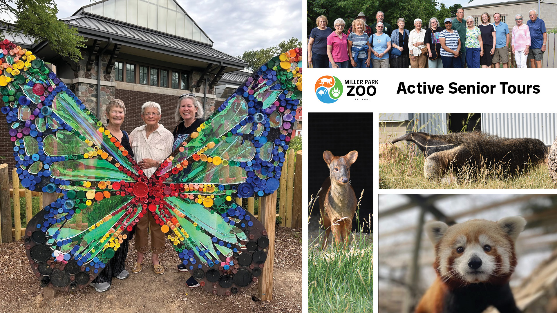 Active Senior Tours at the Zoo