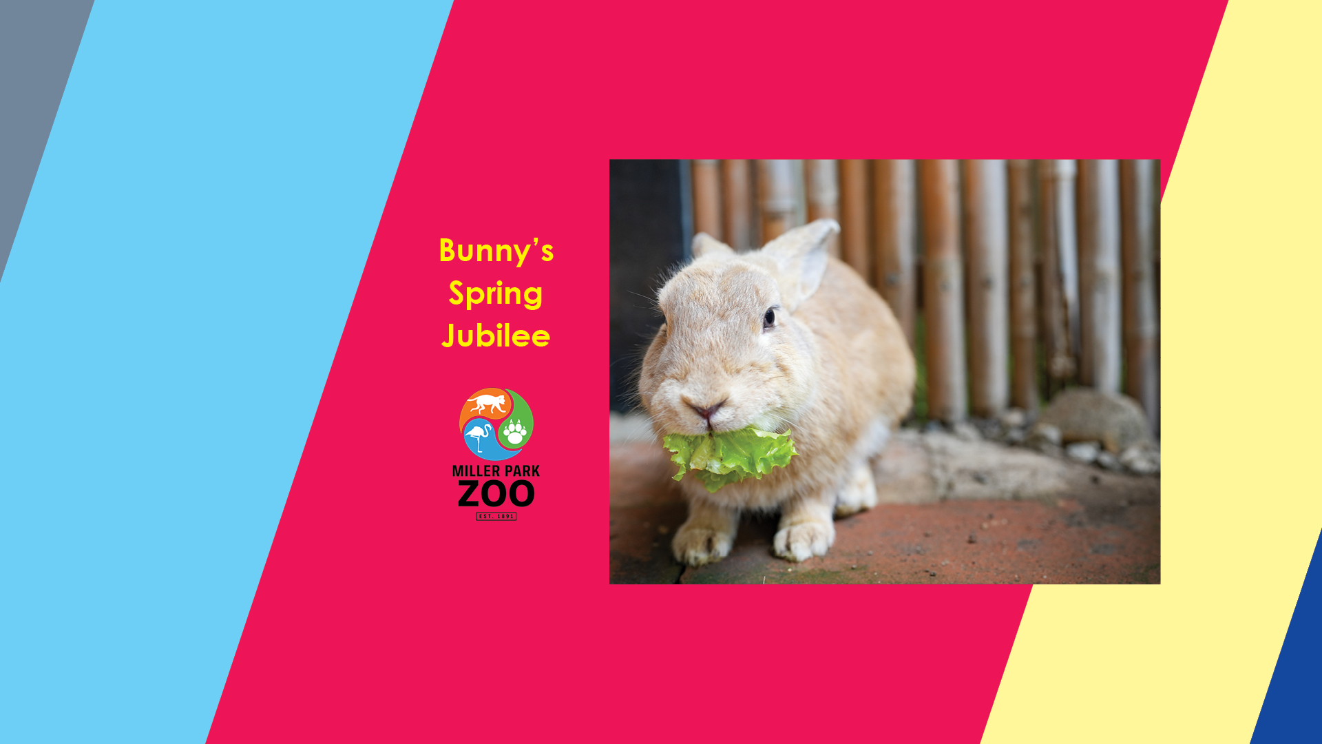 Bunny's Spring Jubilee at the Zoo