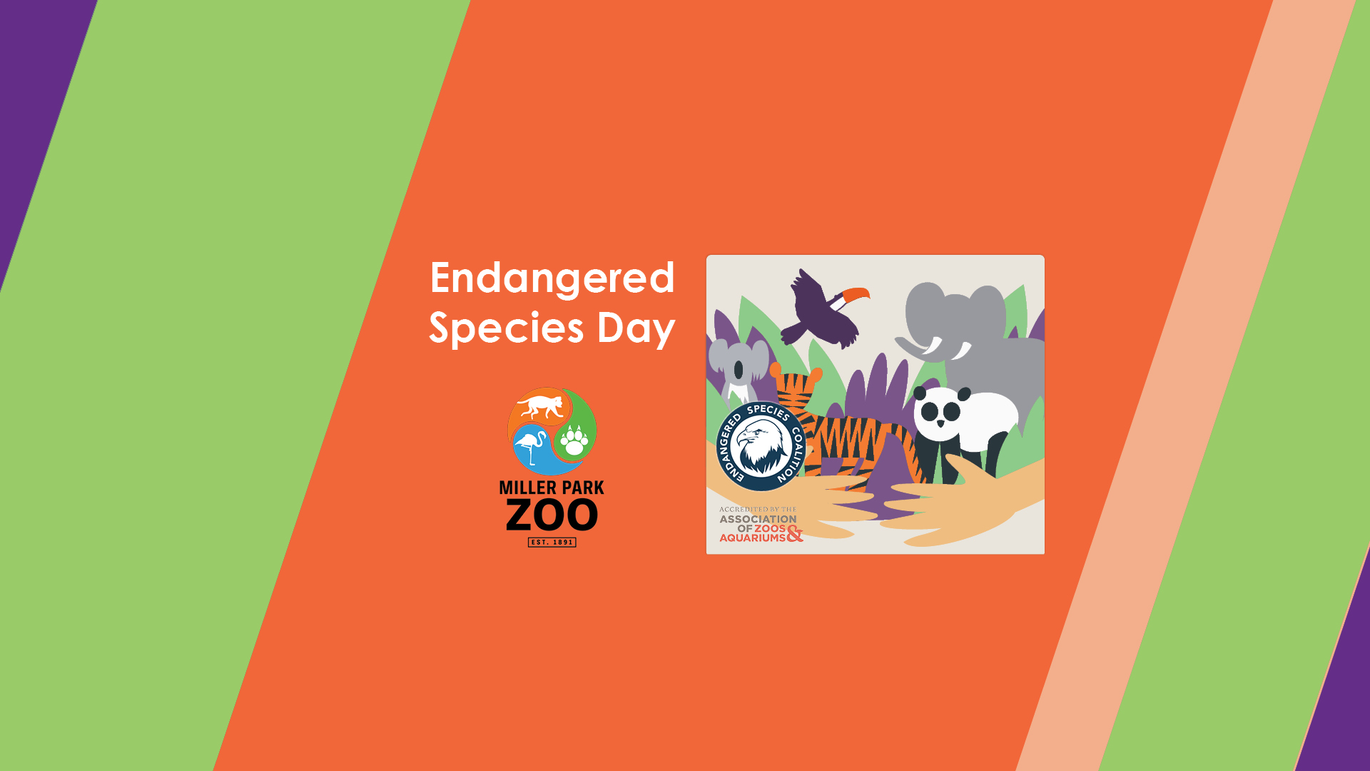 Endangered Species Day at the Zoo
