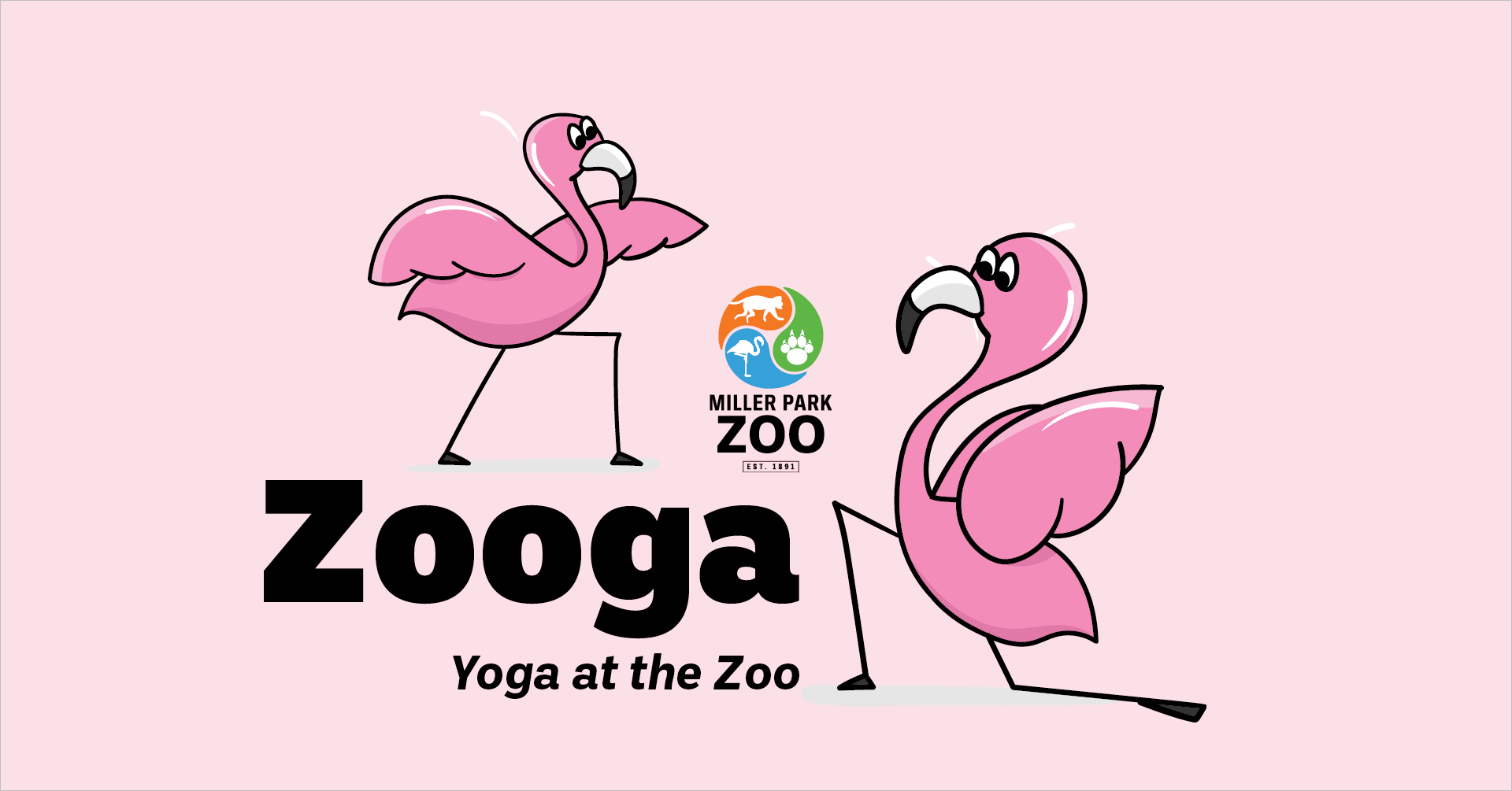 Zooga - Yoga at the Zoo!
