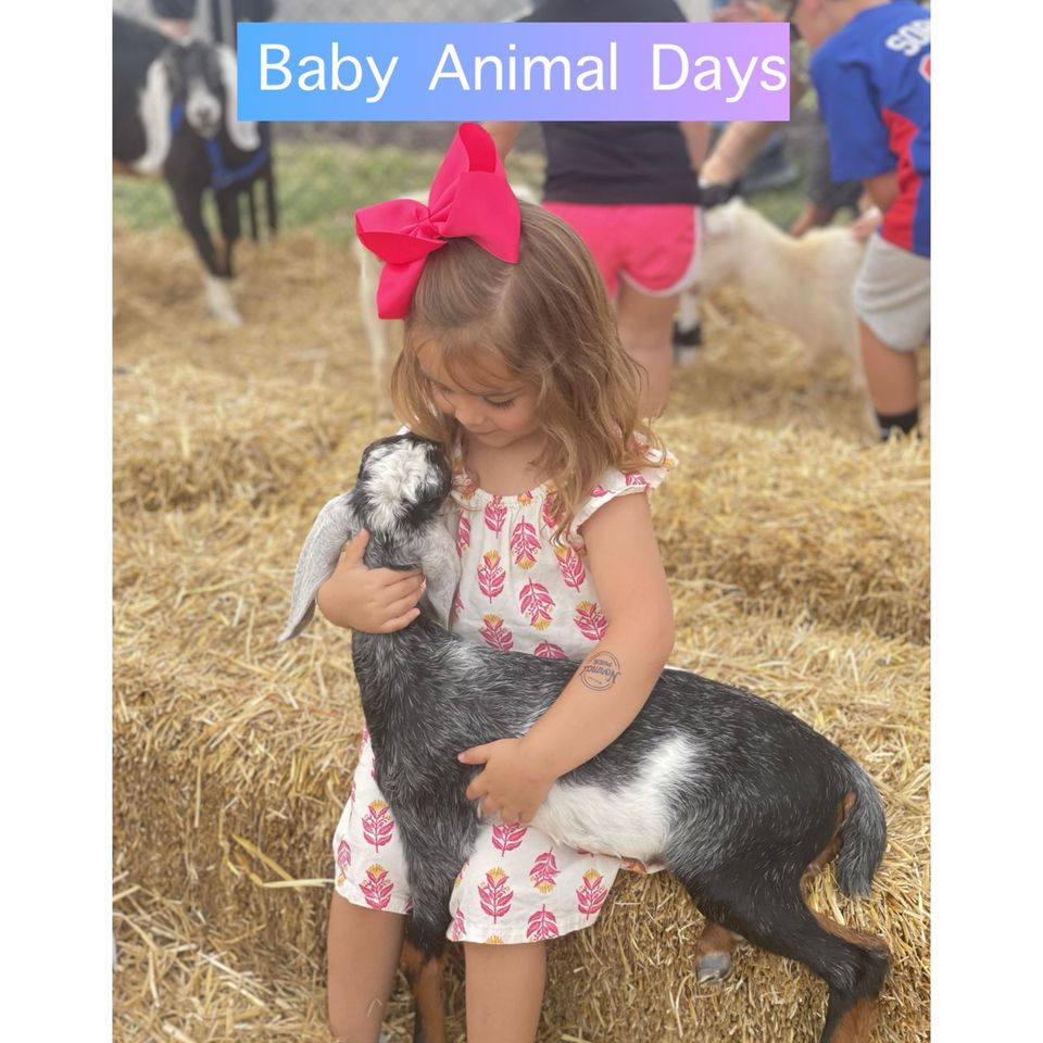 Baby Animal Days