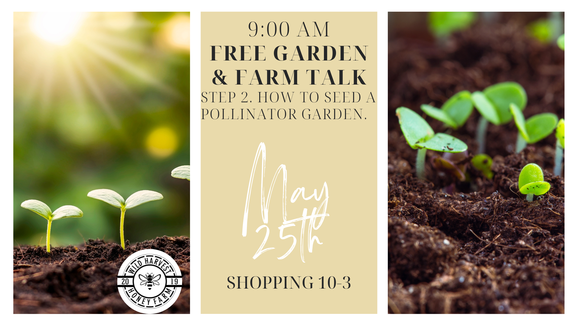 Free Garden Planting and Planning Talk