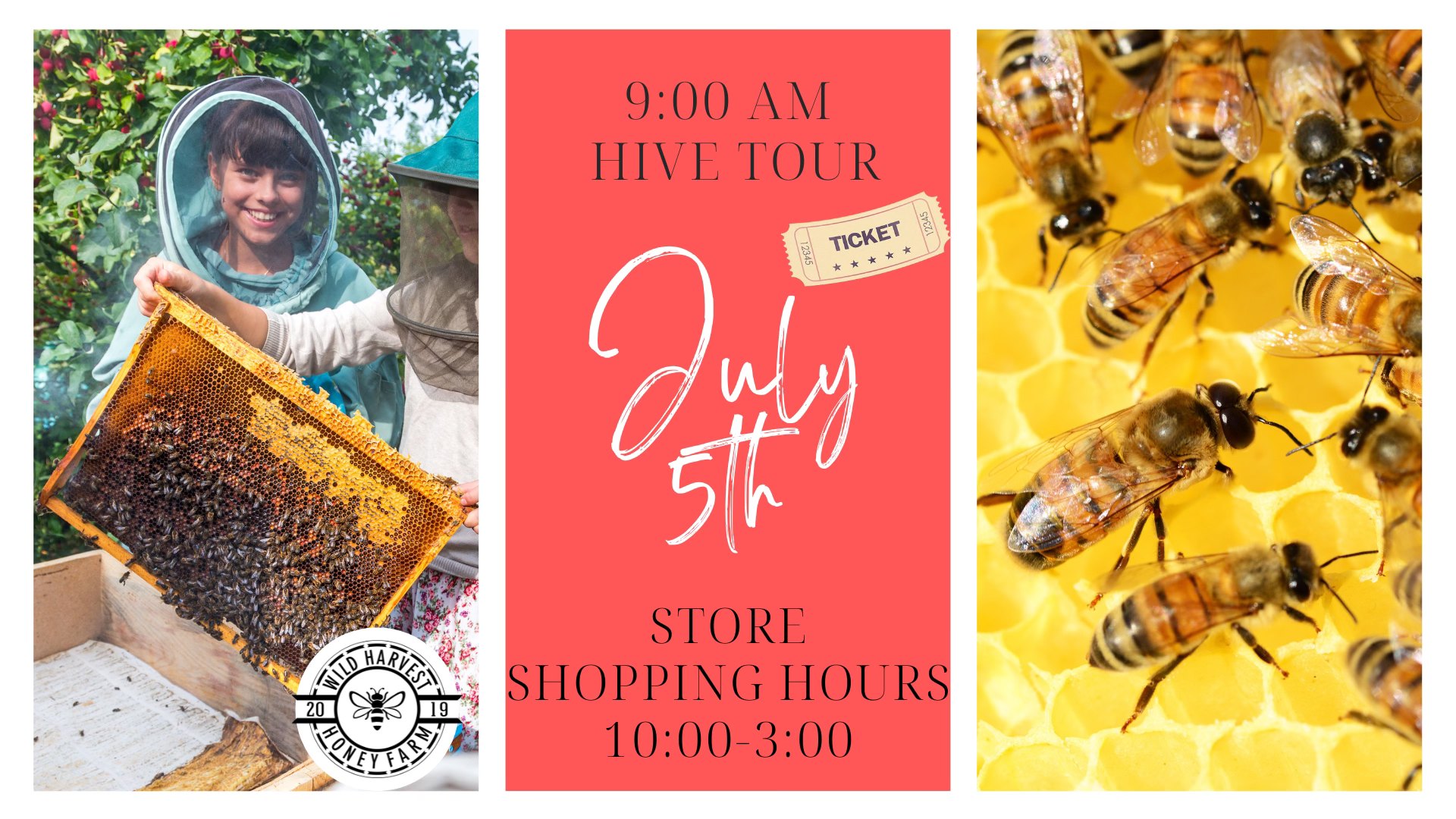 Hands on Hive Expernence
