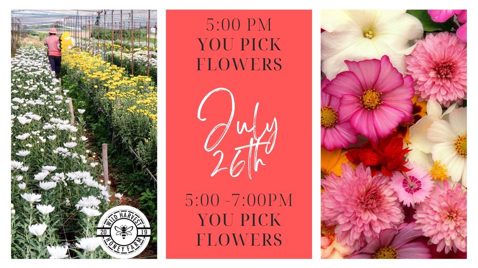 You pick flower garden at sunset