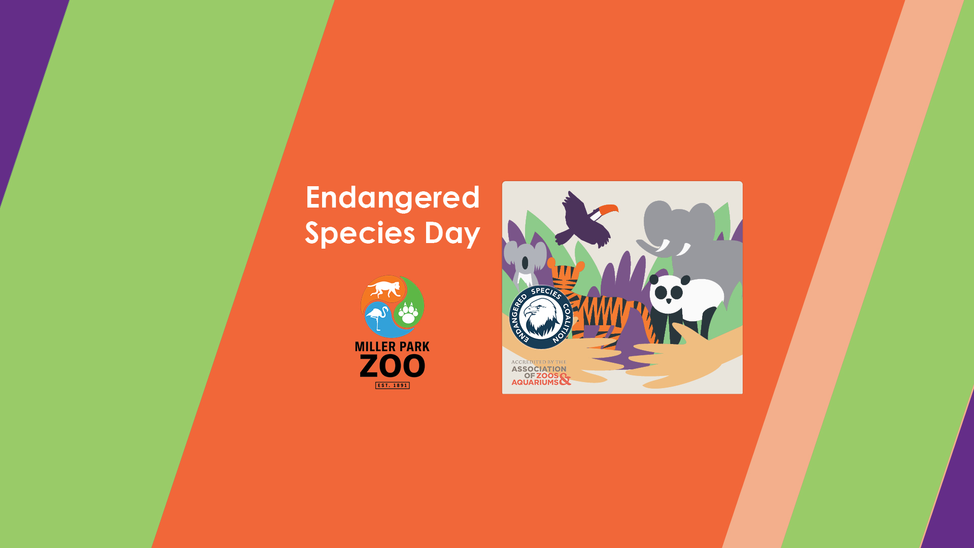 Endangered Species Day