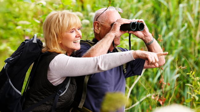 Birding Walk