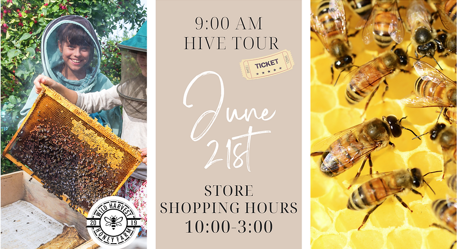 Hands on Hive Experience