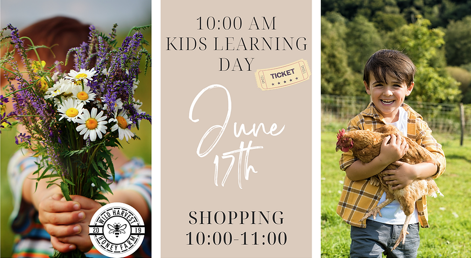 Kids Learning Day