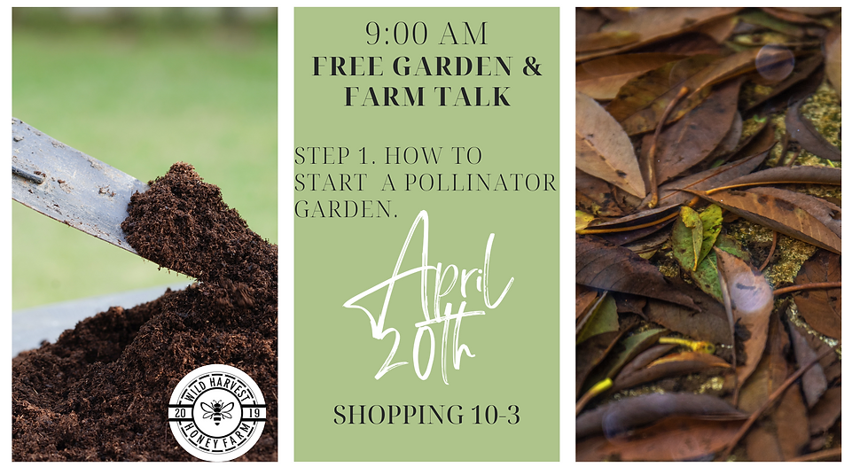 Free Garden Planting and Planning Talk