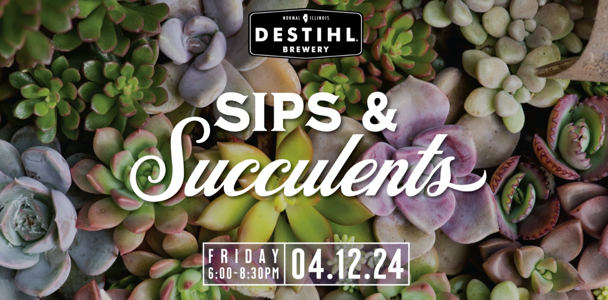 Sips & Succulents