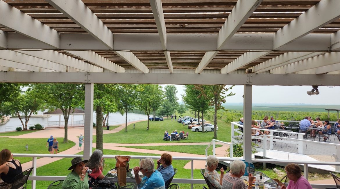 Art and Wine Festival at the Vineyard -FREE