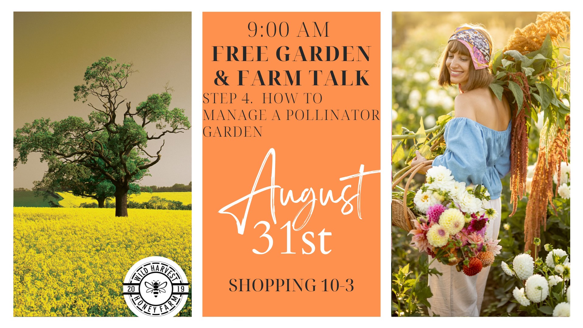 Farm Tours, Yoga, Shopping, You Pick Bouquets, & new Honey Bee Corn Maze.