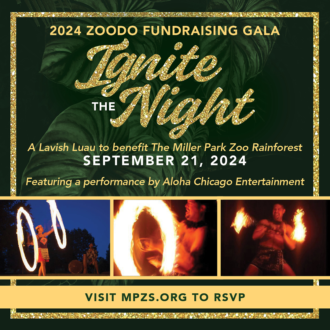 ZooDo- Ignite the Night! A Lavish Luau to Benefit the Miller Park Zoo Rainforest