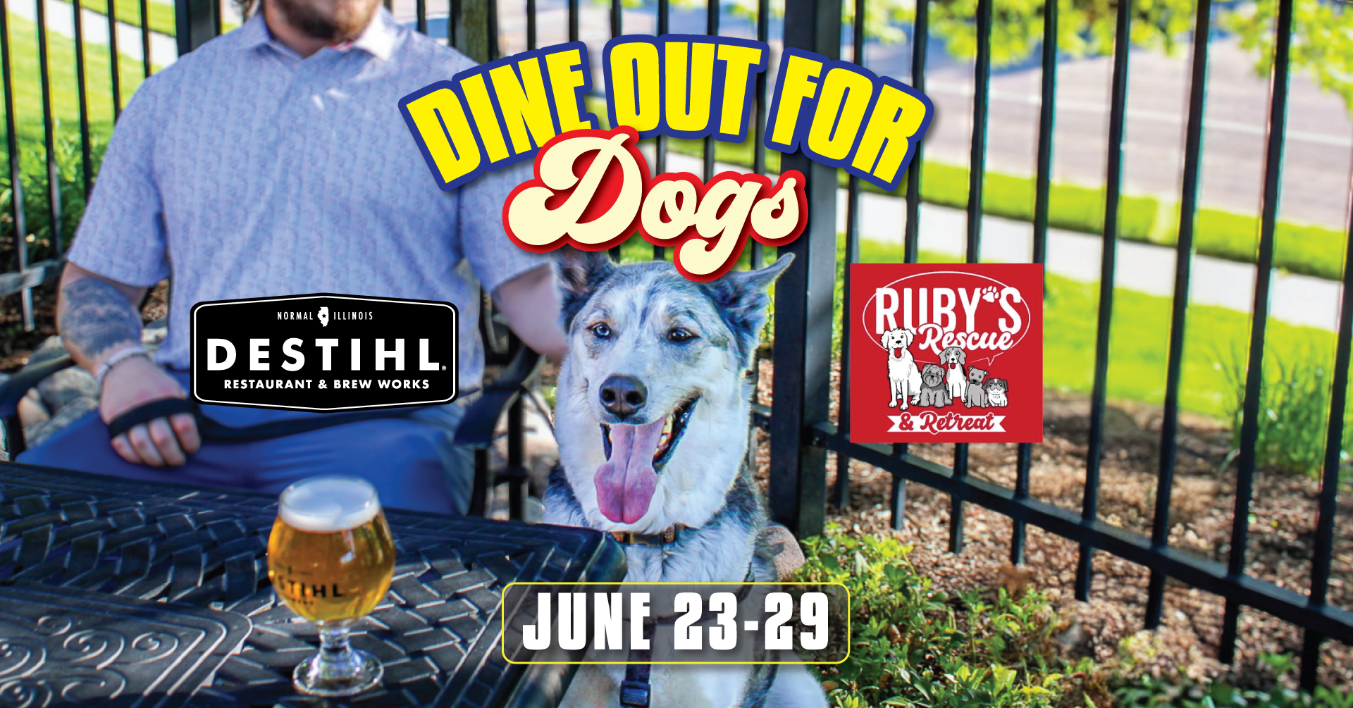 Dine Out for Dogs