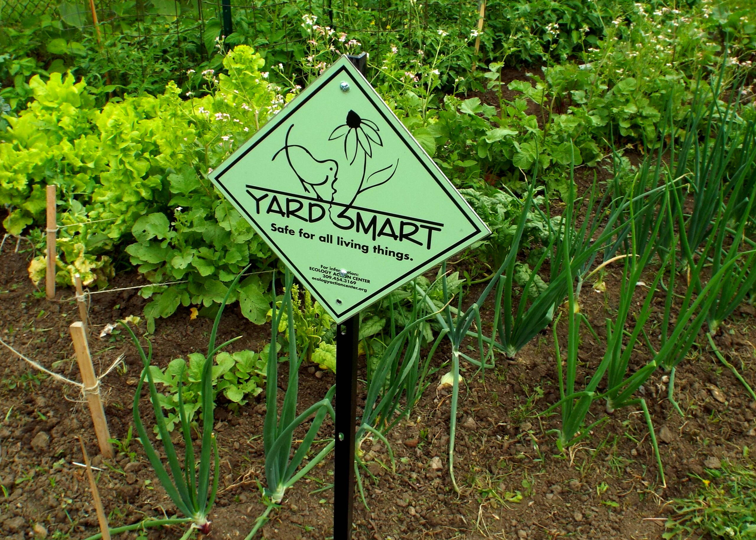 The Ecology Action Center's 22nd Annual Yard Smart Garden Walk
