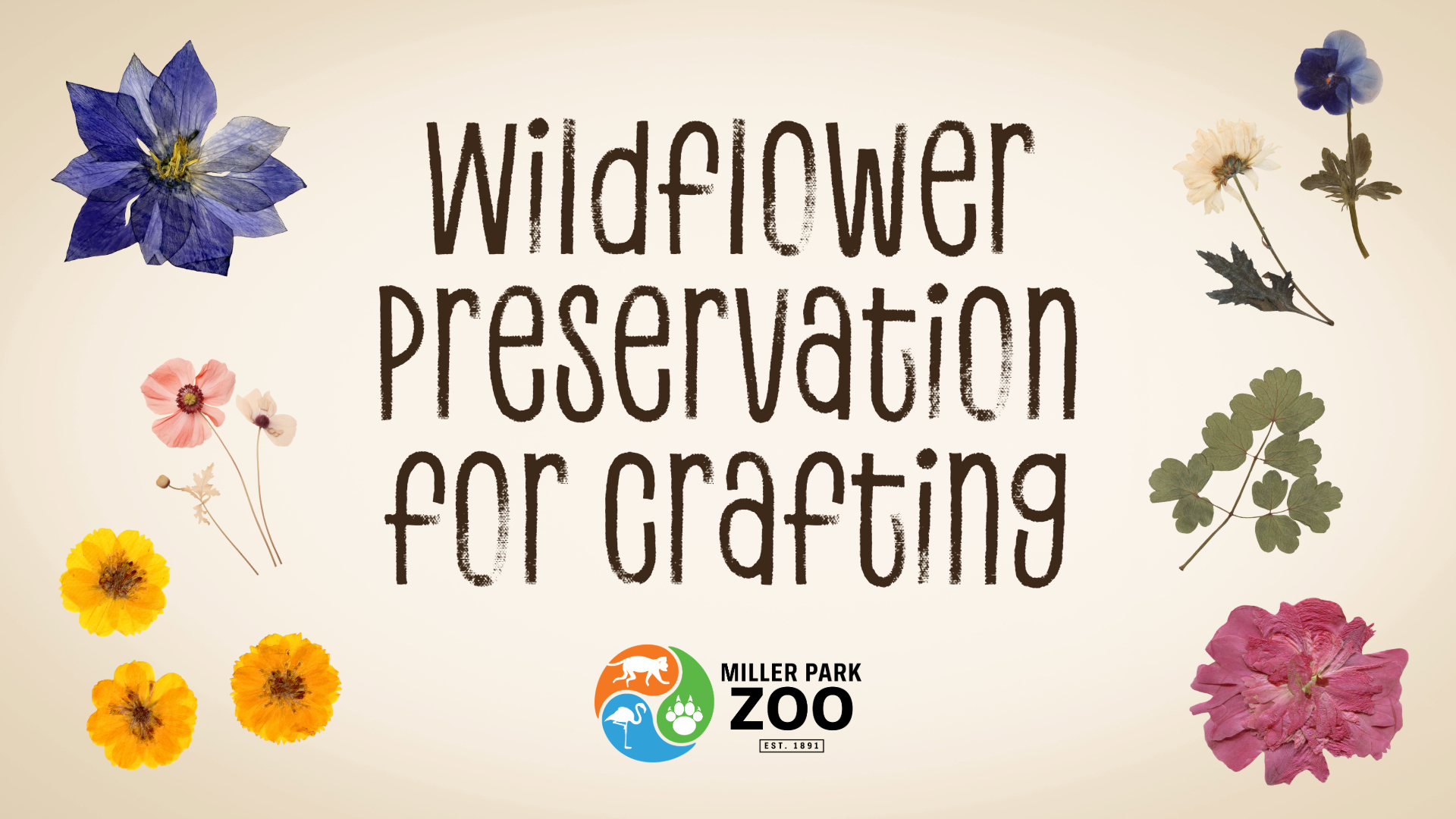 Wildflower Preservation for Crafting