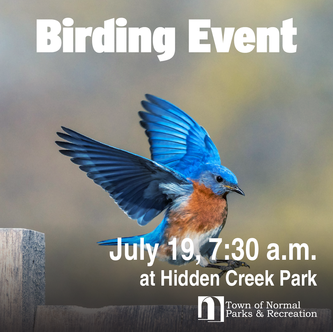 Birding Event