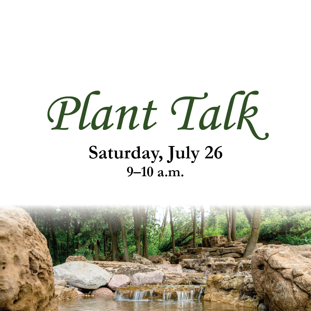 Plant Talk