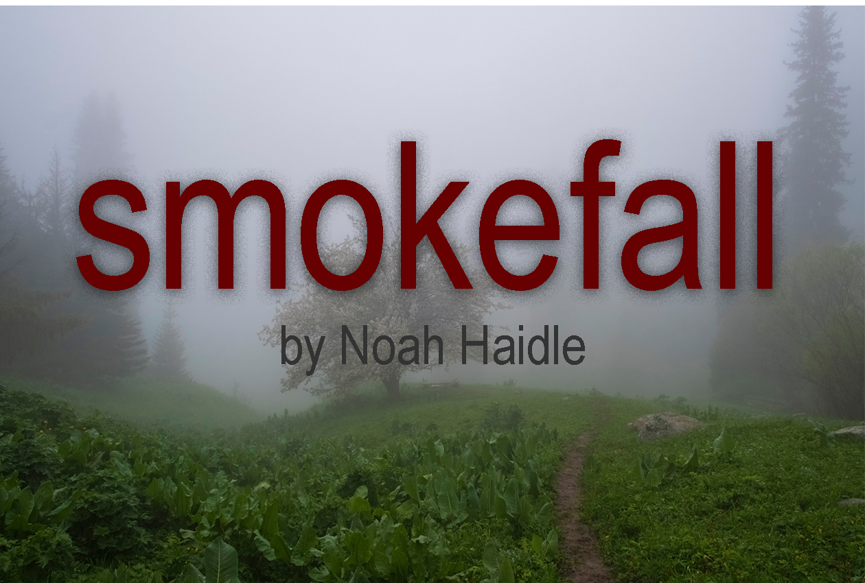 Smokefall, by Noah Haidle