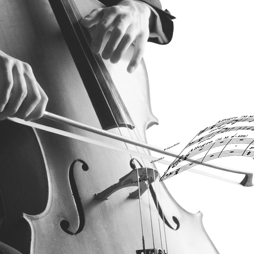 Illinois Chamber Music Festival opening concert