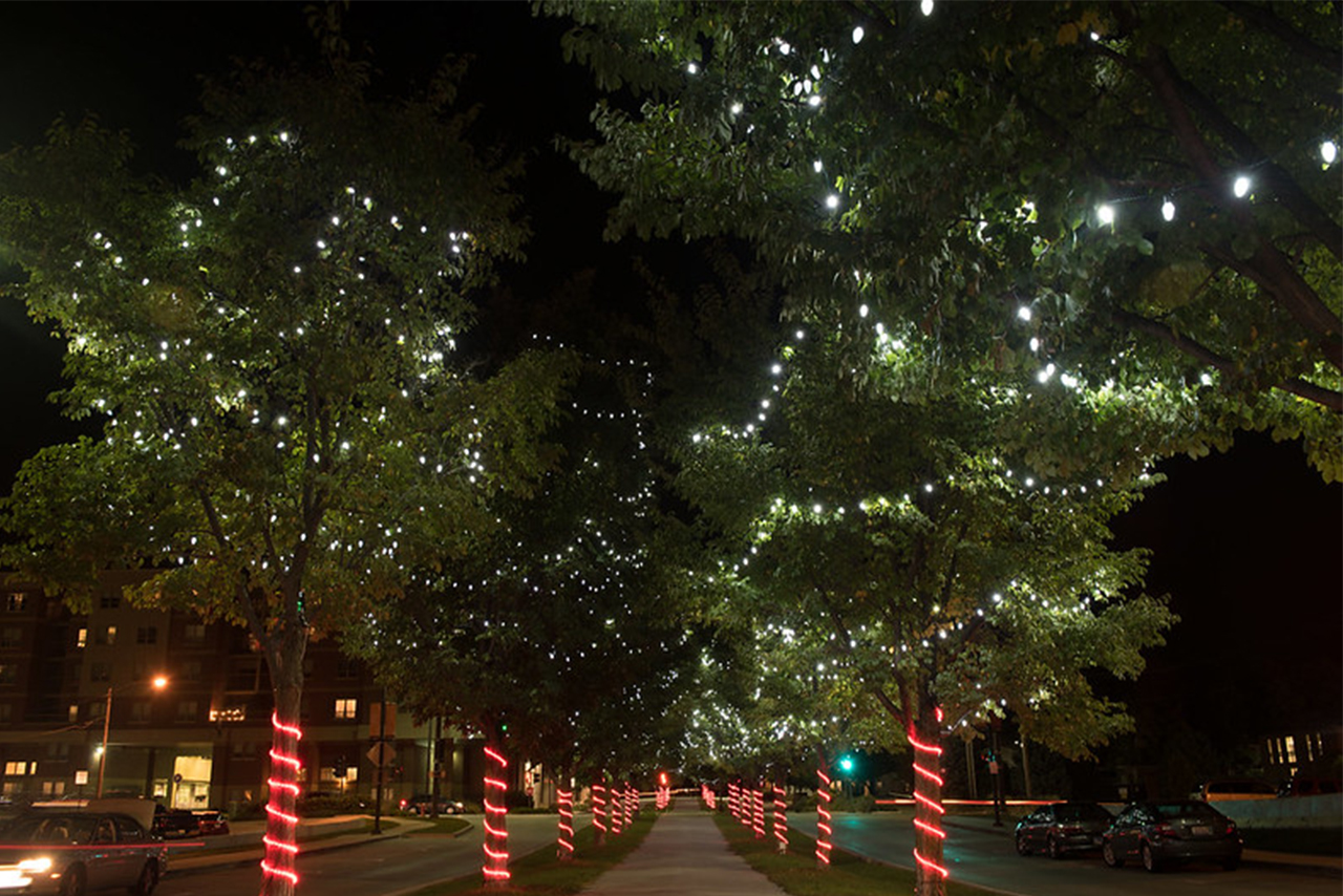 ISU Tree Lighting