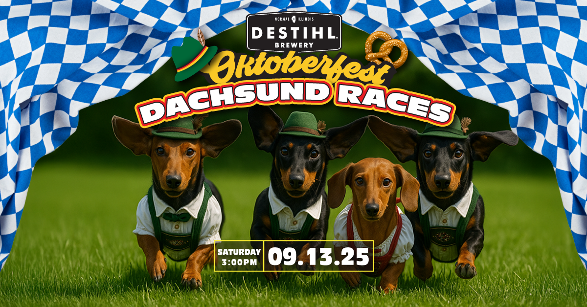 Oktoberfest Dachsund Races