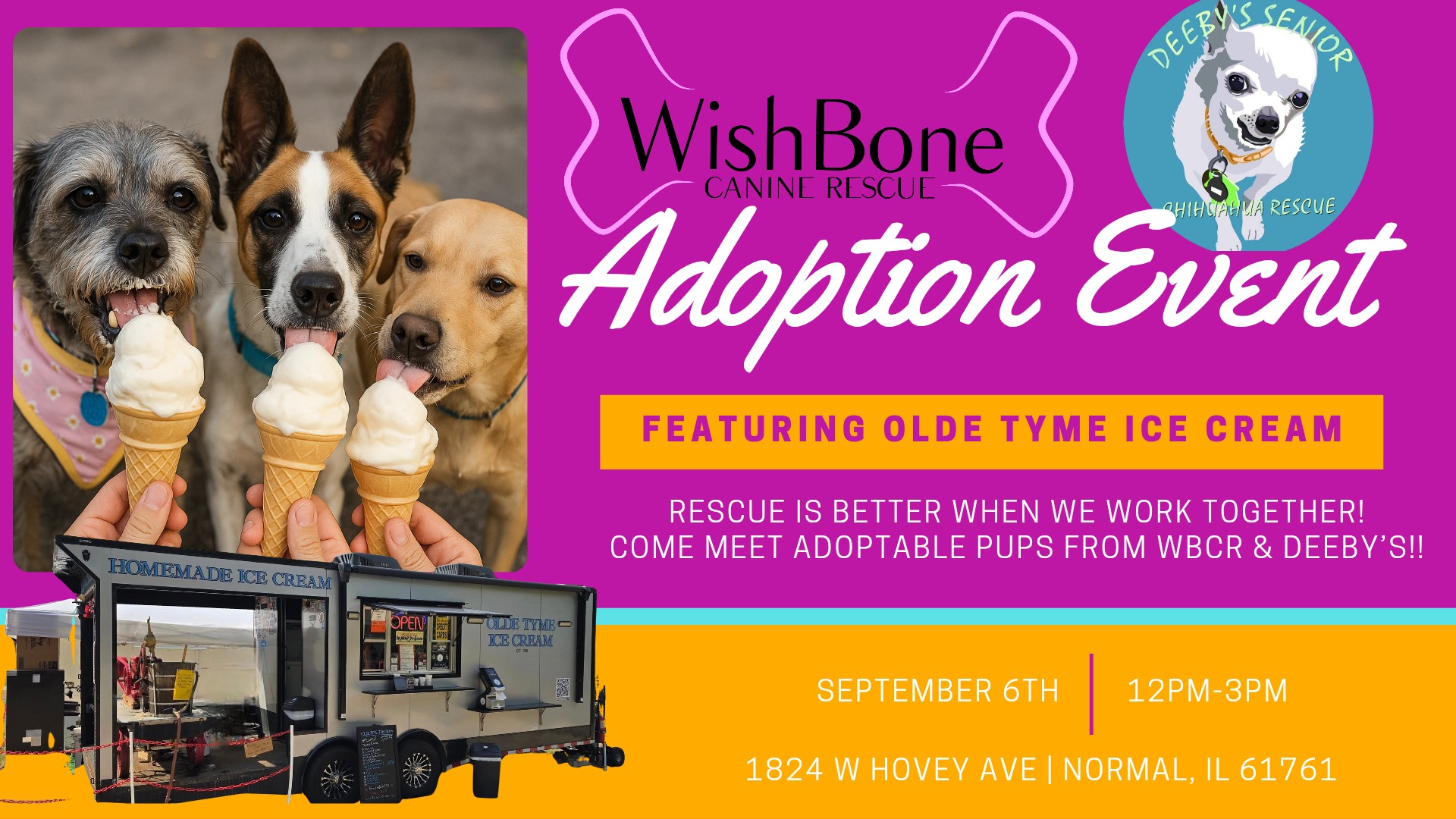 Scoops & Snuggles Adoption Event