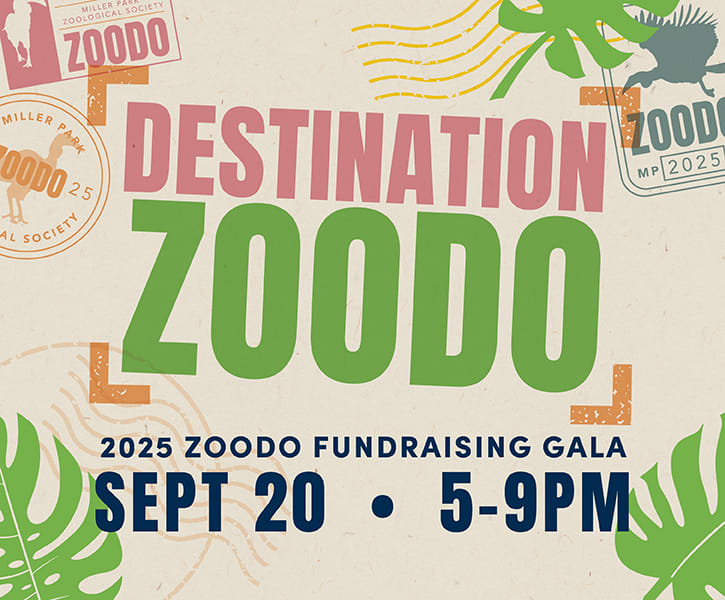 Destination ZooDo 2025