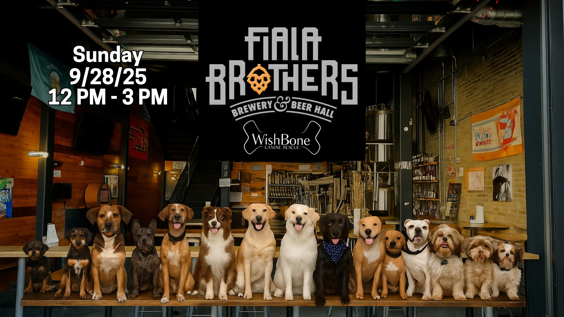 Fiala Brothers: Wish Bone Canine Rescue Adoption Event