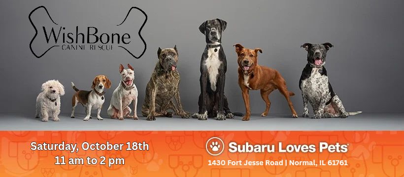 Subaru Loves Pets: Adoption Event