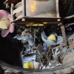 The House on Garling