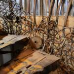 The House on Garling