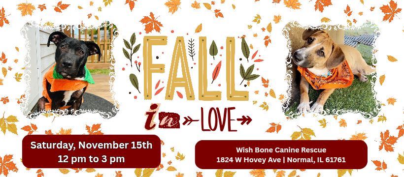 FALL in Love Adoption Event