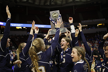 IHSA Volleyball State Finals