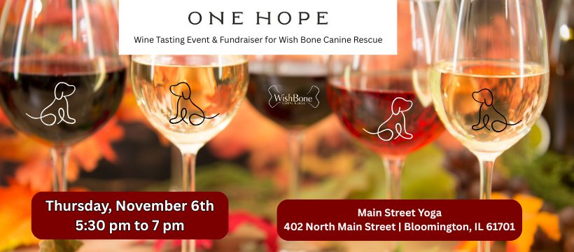 Unleashed and Uncorked