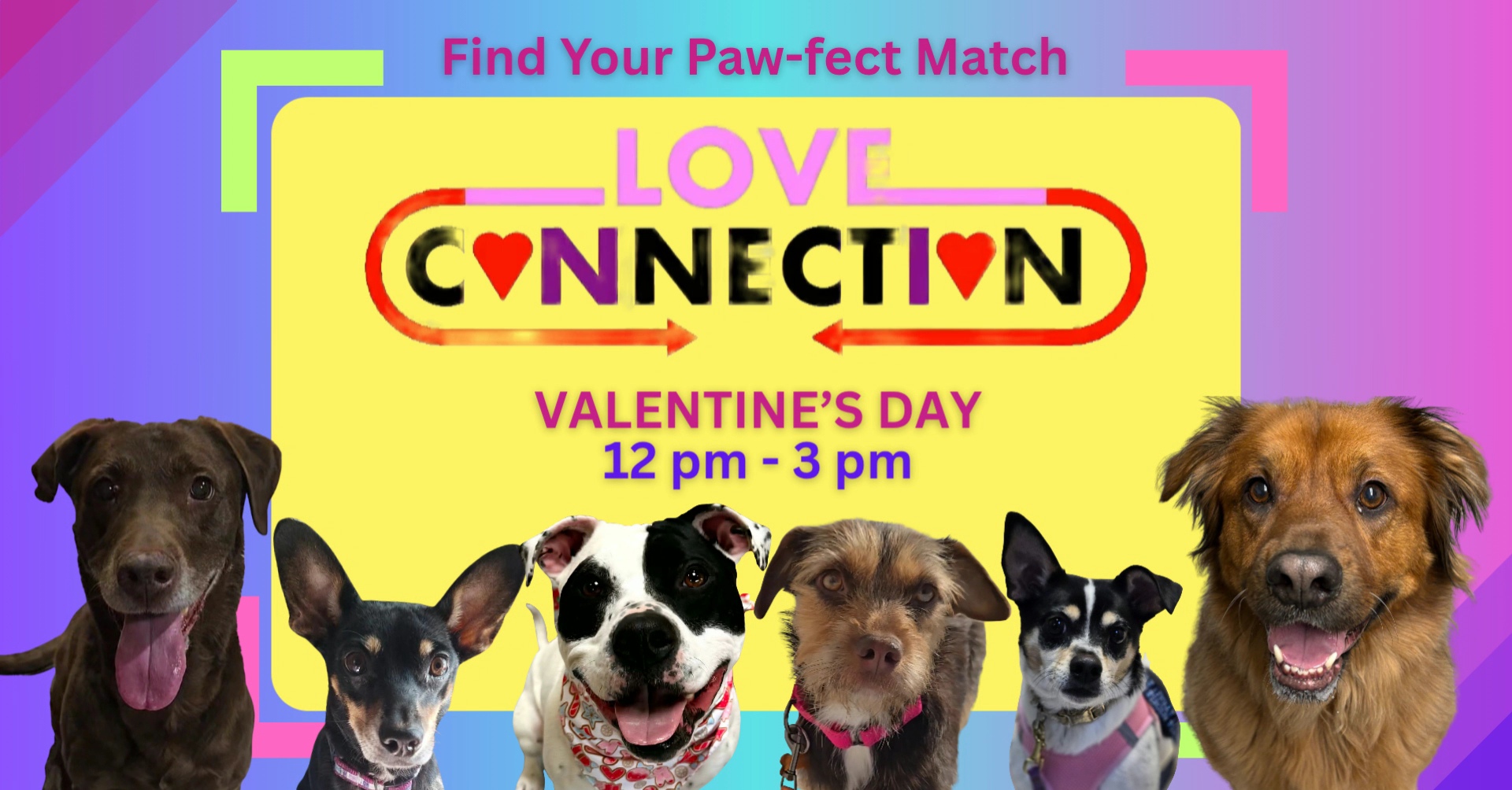 Love Connection: A Special Valentine's Day Adoption Event