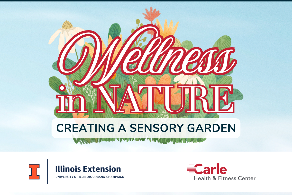 Wellness in Nature: Creating a Sensory Garden