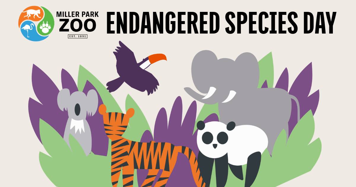 Endangered Species Day at the Zoo