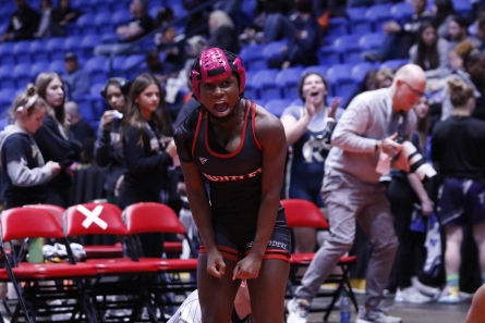 IHSA Girls Individual Wrestling State Finals