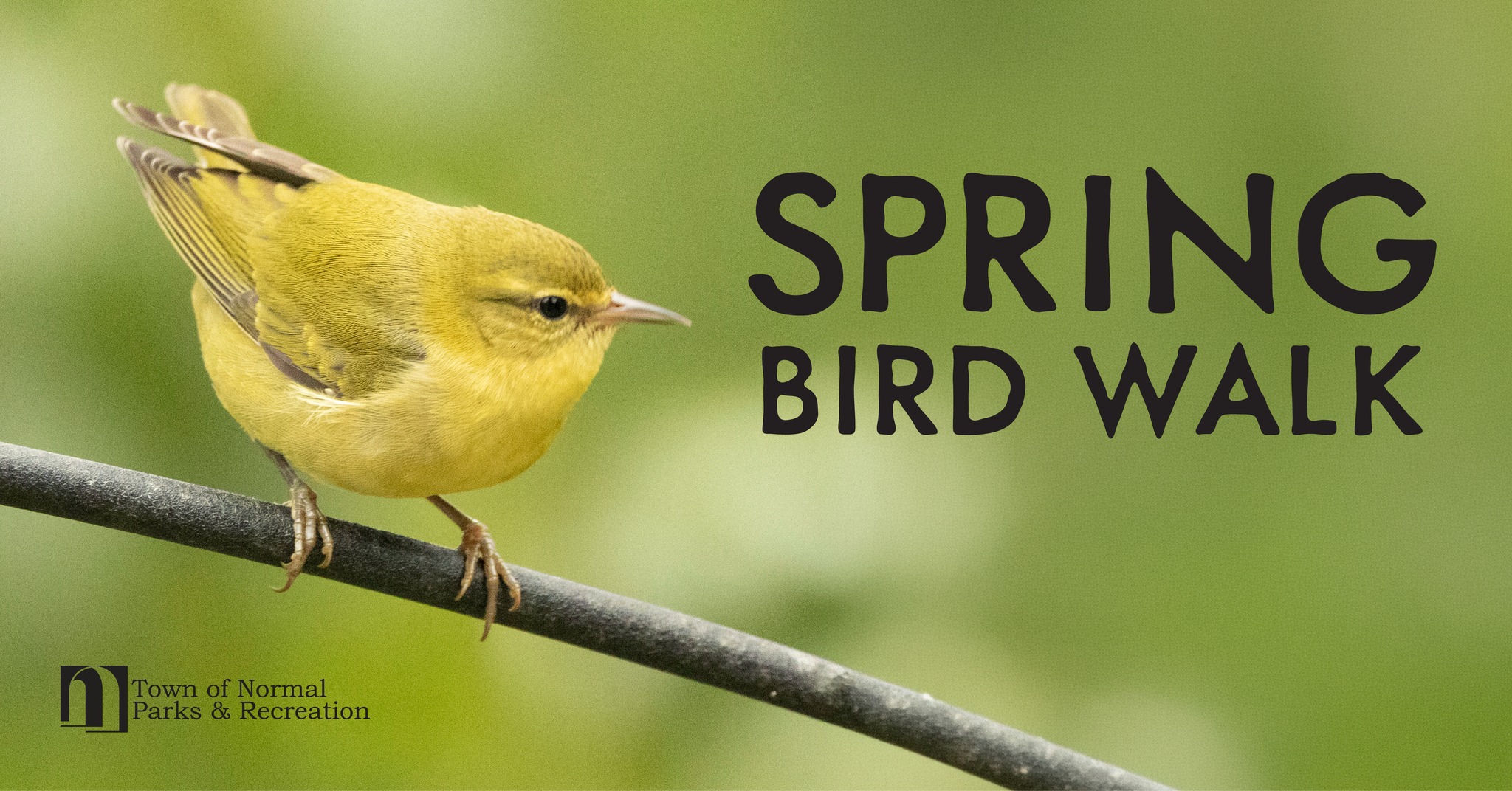 Spring Bird Walk