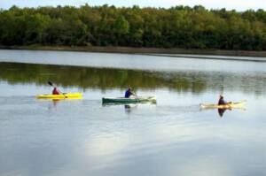 Kayaks at Comlara Park
