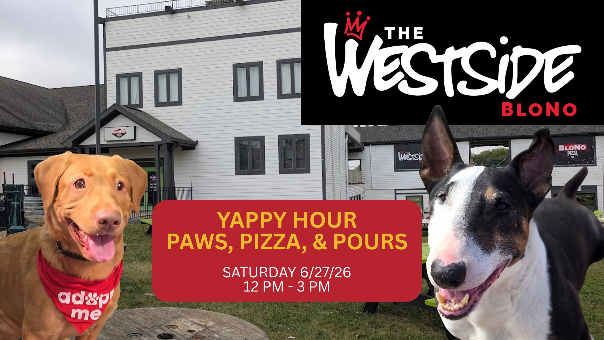 Yappy Hour: Paws, Pizza, and Pours