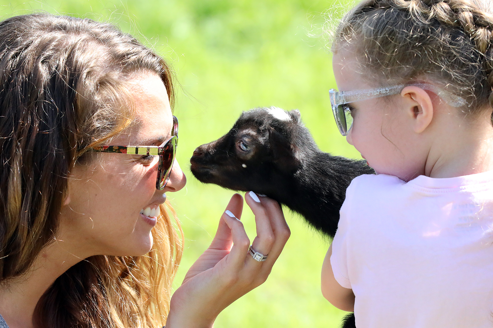 Baby Animal Days