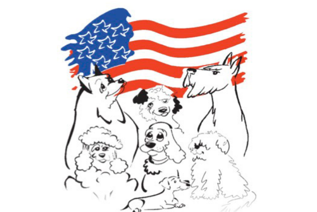 Heart of Illinois Cluster Dog Show